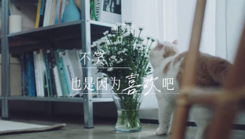 韩束与檀健次，「恋爱梗」的浪漫有点治愈！