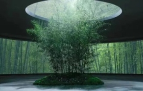 舍得酒业大片《我是时间》: 揭秘一瓶老酒的“时间观”