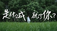 COLMO的鸡汤广告，我喝不下去