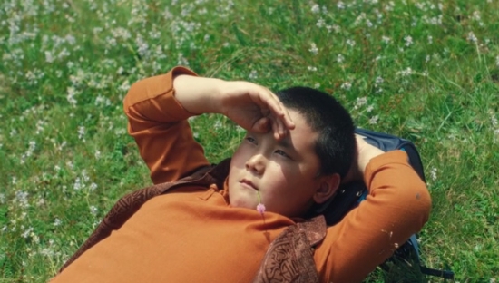 TCL微电影《诺布的玫瑰》：1万公里的“蜜月”之旅