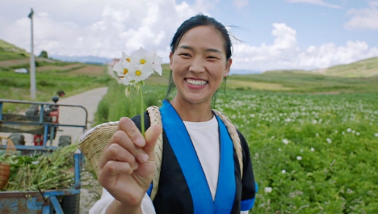 微粒贷东川乡村振兴的那些事儿