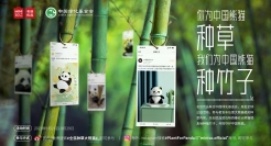 名创优品×中国绿化基金会：把全世界种的草变成了竹子