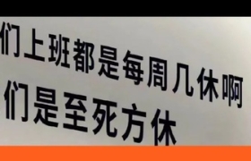 打工人文案上新，句句扎心！