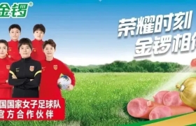 金锣+女足的火花碰撞，细数体育经济下的品牌破局之道