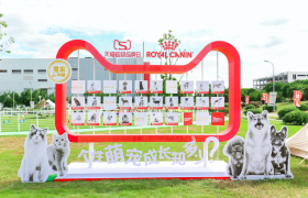 皇家×天猫超级品牌日：让宠物做自己的主角