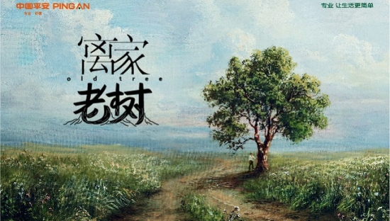 中国平安：我们家里都有一棵老树