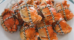 大闸蟹不止阳澄湖