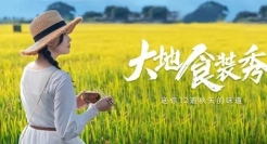 小熊电器与年轻人的双向奔赴