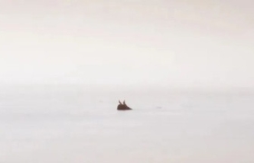 美的这组长文案，值得好好看一看