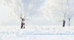 几句冬天的好文案