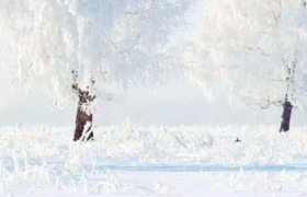 几句冬天的好文案