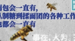 不洗脑的Boss直聘，广告开始走心了？