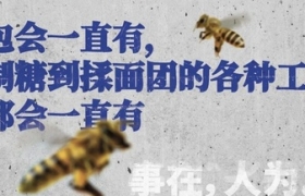 不洗脑的Boss直聘，广告开始走心了？