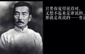 如果阳了，用鲁迅的话怎么说