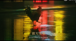 王小卤搭配王家卫？ 一只鸡和港风完美融合