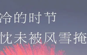 20句大寒文案，除旧迎新岁岁安~