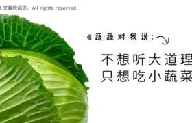 写在春天里的蔬菜文案，送你365个开工霸福