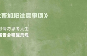 27首小诗，专治emo和焦虑