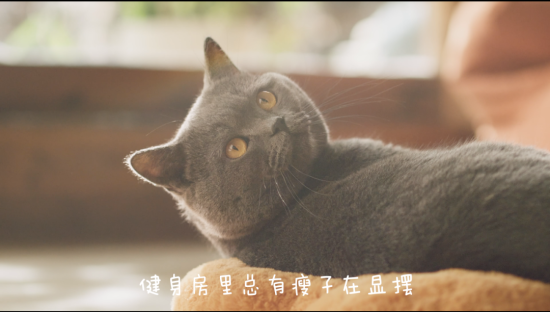 小度：冬日宅在家健身