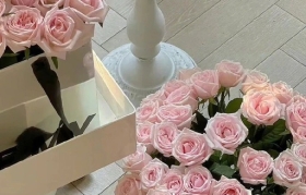 情人节文案来了，浪漫至极