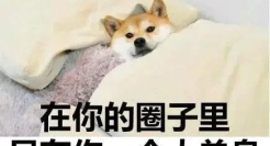 25句情人节单身文案，句句人间清醒