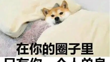 25句情人节单身文案，句句人间清醒