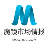 魔镜市场情报