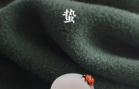 惊蛰海报合集：绿意浓浓，为春天开场