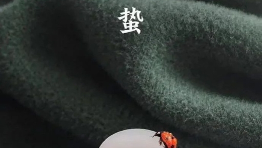 惊蛰海报合集：绿意浓浓，为春天开场