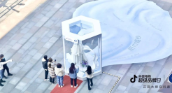 把纸巾做成婚纱？维达实现三八营销突围