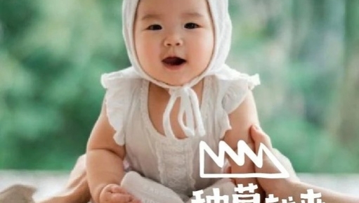 最近喜欢的十句文案