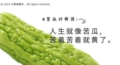 看完这套《苦瓜物语》文案，我的苦又多了几分