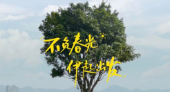 扎堆做“春日营销”，为什么只有伊利让人上头？