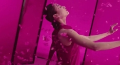 这是一篇有点「粉」的推文~