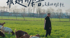 快手推出春日诗集，文案超治愈！