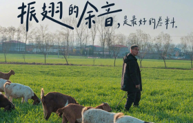 快手推出春日诗集，文案超治愈！