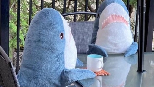 宜家玩偶鲨鲨火爆全网，又丧又萌“鲨”疯了