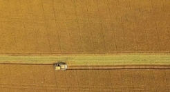 10句劳动节文案，创意很绝