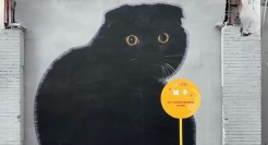 小红书邀你家猫咪在外滩「出道」