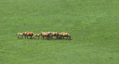 美团这组创意文案，来自40年前