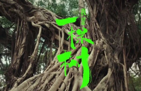 沉默百年的古树，开口说话了