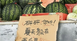 5月，喜欢的十句文案