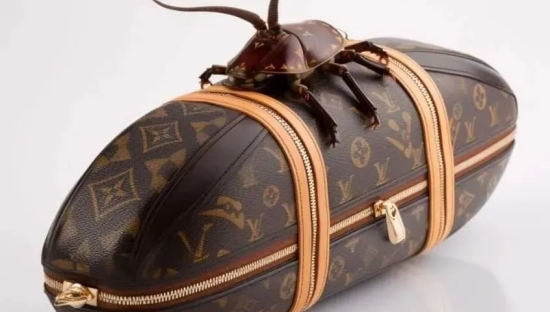 LV蟑螂包，设计杀疯了！