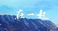 年度最佳广告片：比亚迪这波圈粉了