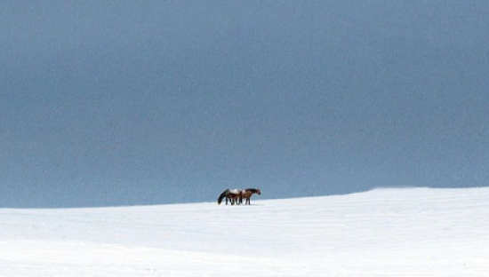 10句七夕节文案，创意很绝