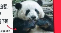 小红书的旅行攻略文案，太会了！