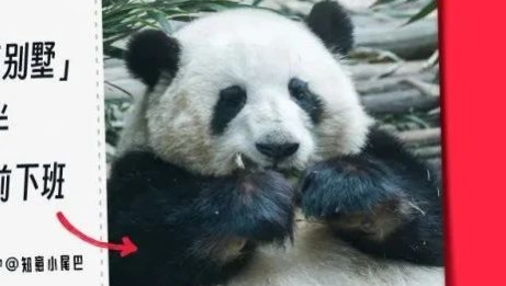 小红书的旅行攻略文案，太会了！