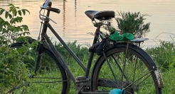 豆瓣网友的神仙文案，高手在民间