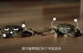 顺丰做了一支广告，把中秋回家路上的“抓马”事件演活了