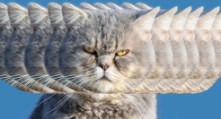 全联促销广告：了解人生厚黑学，更有眼力见